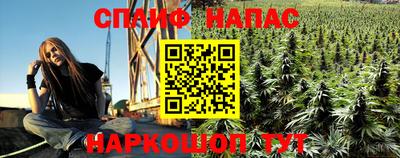 скорость Дубна