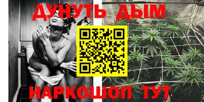 скорость Дубна