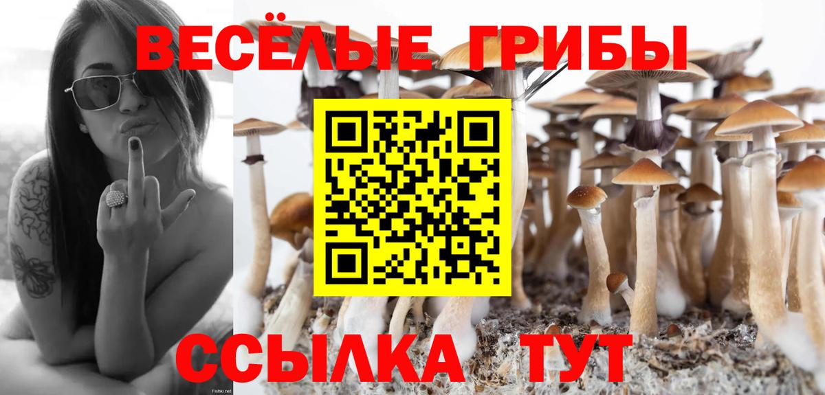 Псилоцибиновые грибы мицелий  Вход с VPN  Мелеуз  Галлюциногенные грибы Psilocybe 