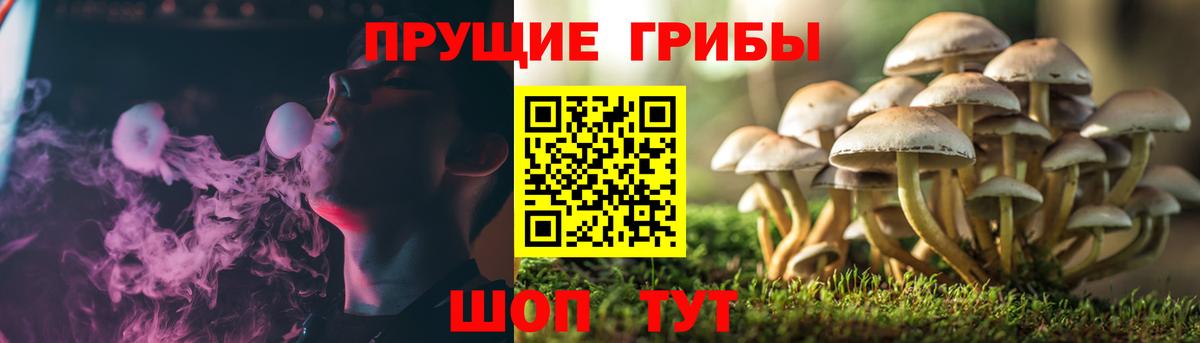 Псилоцибиновые грибы мухоморы Мелеуз
